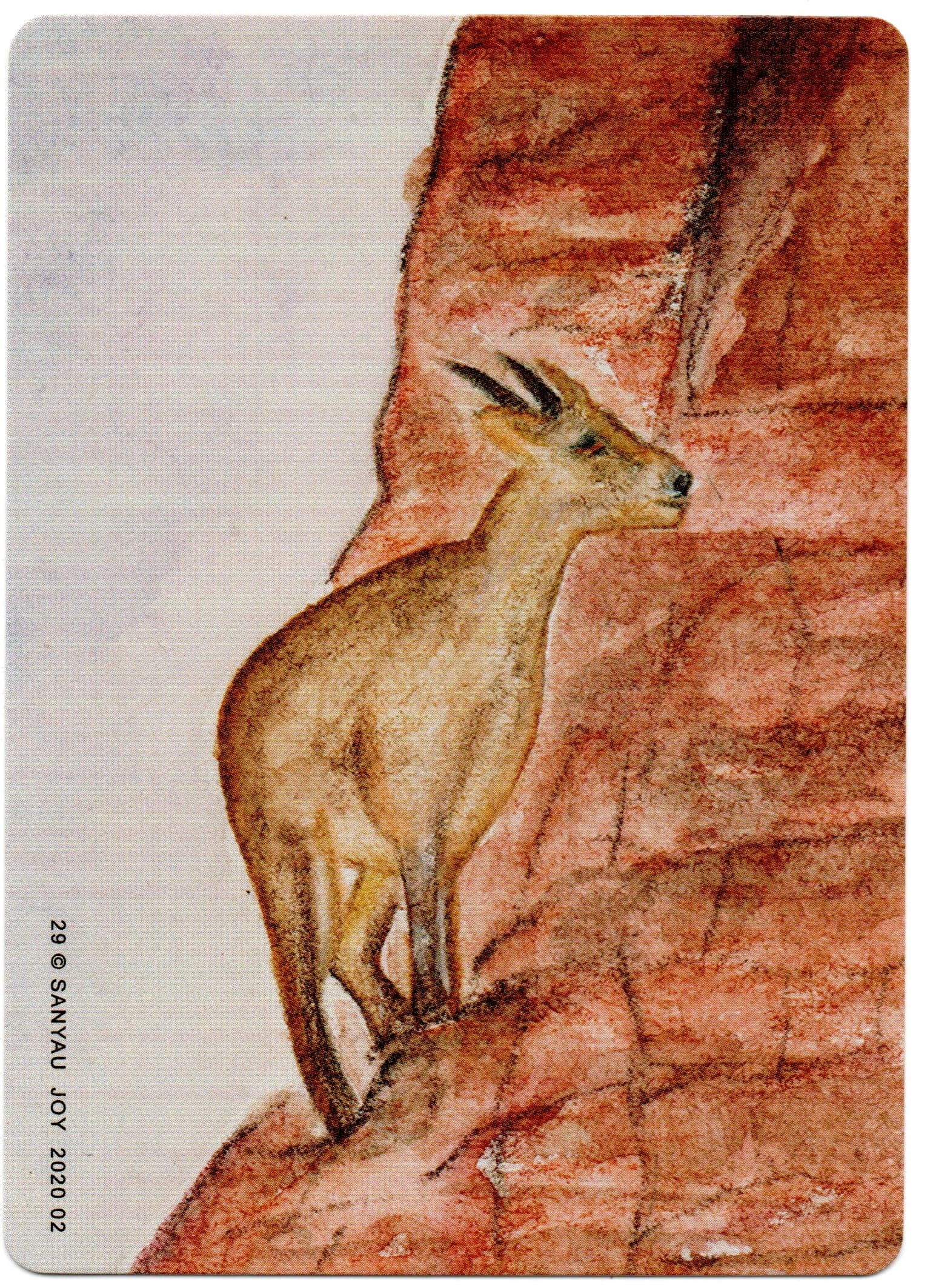 Deep 卡 第 29 张