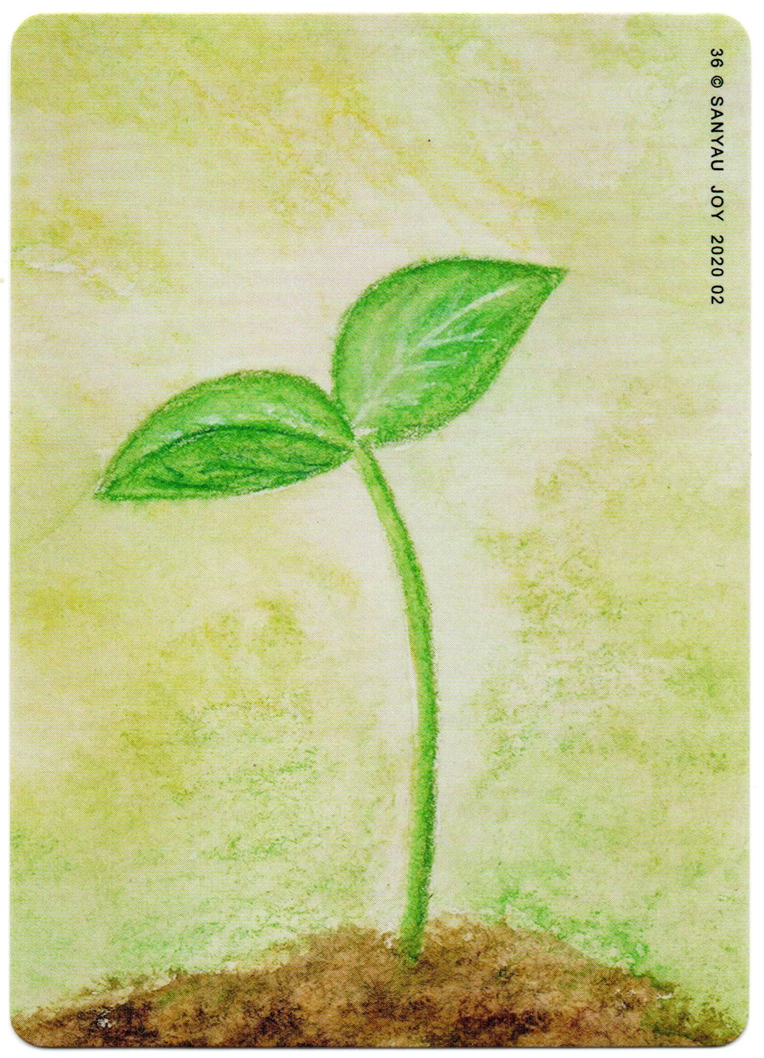Deep 卡 第 36 张
