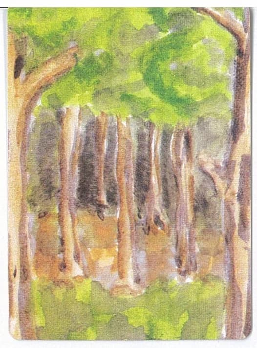 欧卡 · 图卡 第 80 张
