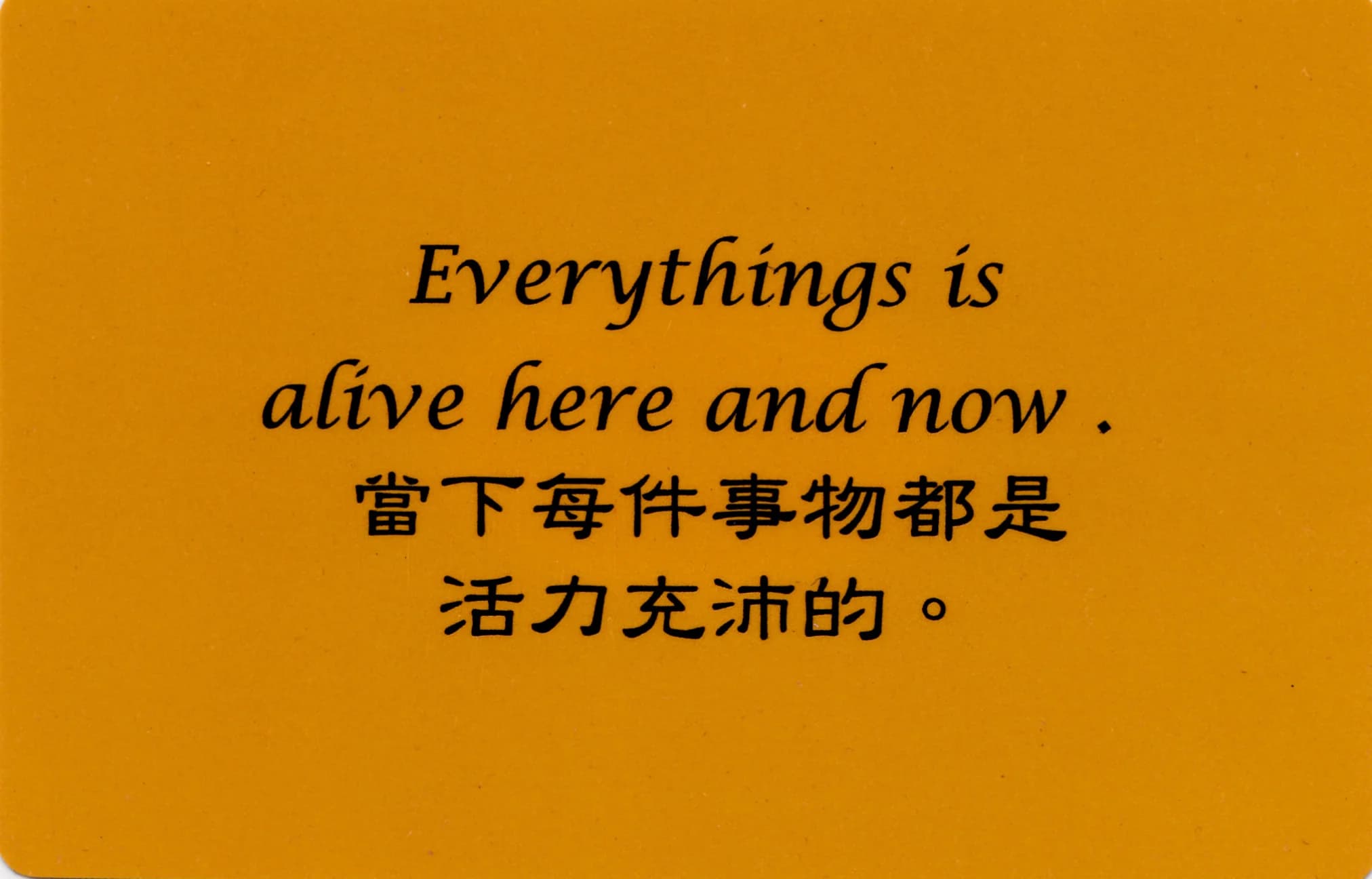 彩虹卡 第 175 张